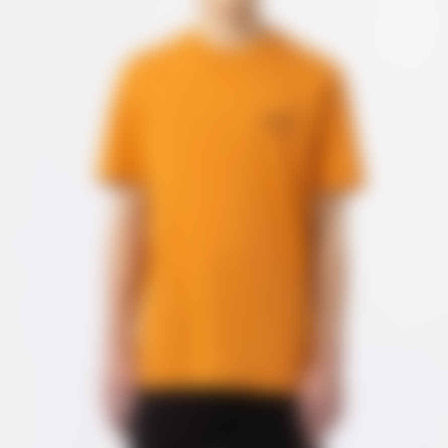 Dickies Artondale Short Sleeve Box T-Shirt in Golden Ochre