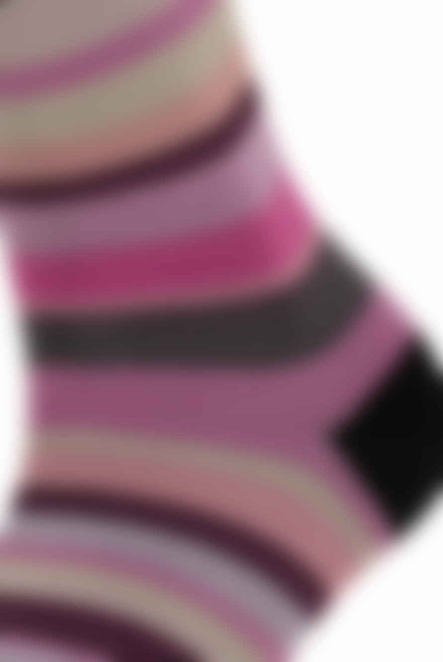 Falke Steady Stripe Socks - Black