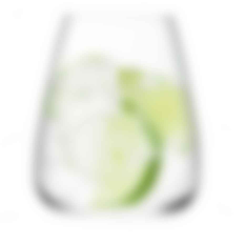 LSA International Set of 2 Wine Culture Water Glasses
