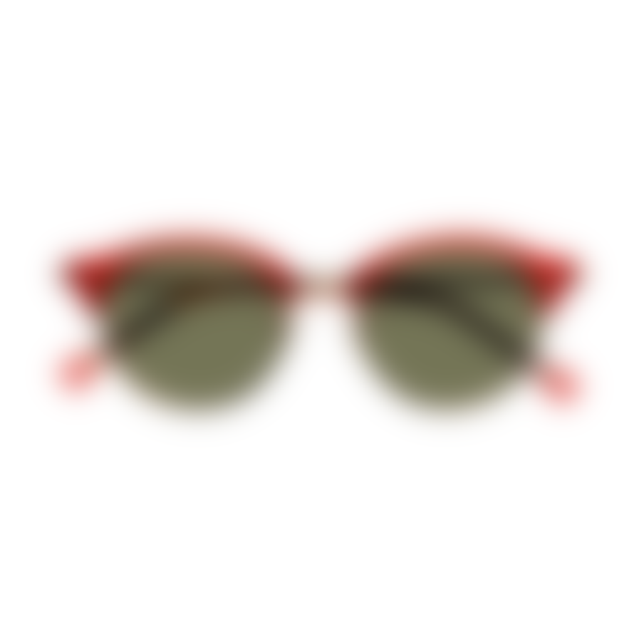 Parafina Eco Friendly Sunglasses - Viento Tortoise