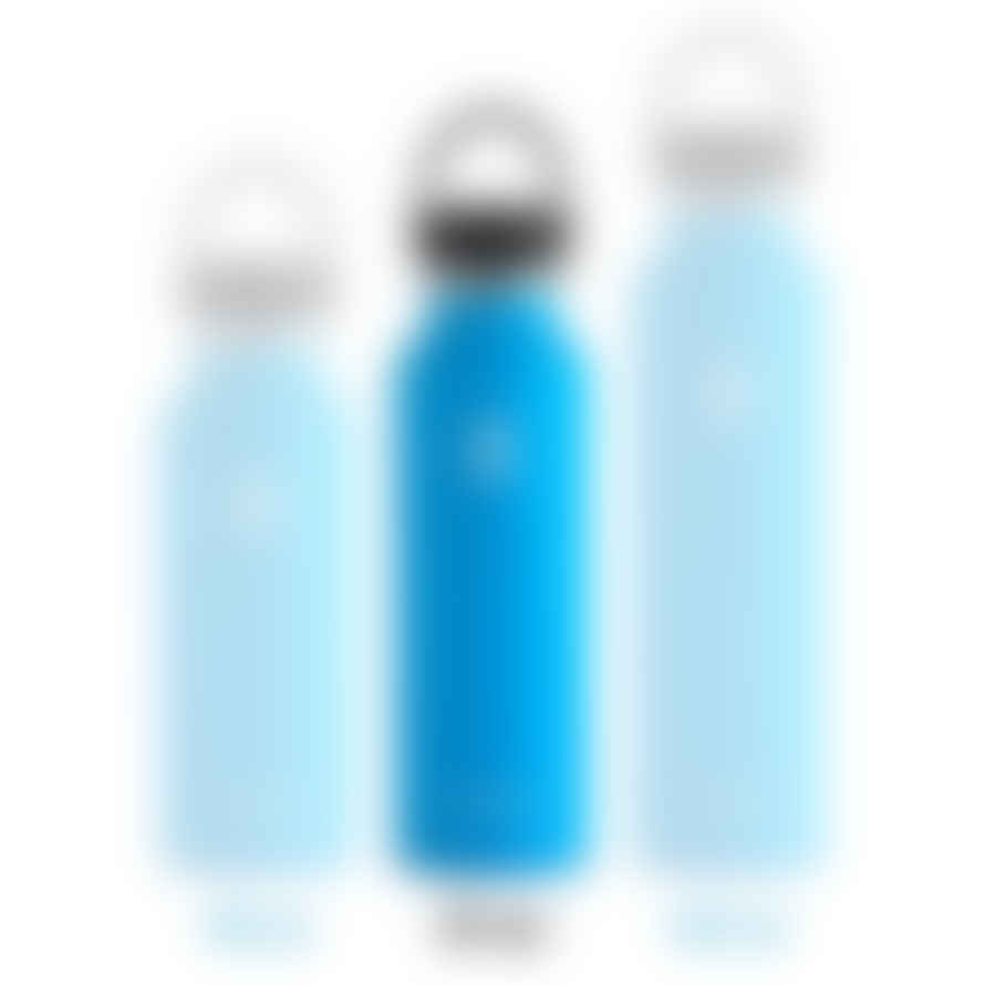 Hydro Flask Botella 21oz - Snaper