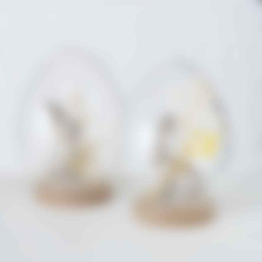 &Quirky Bunny In Glass Egg With Dried Flower 