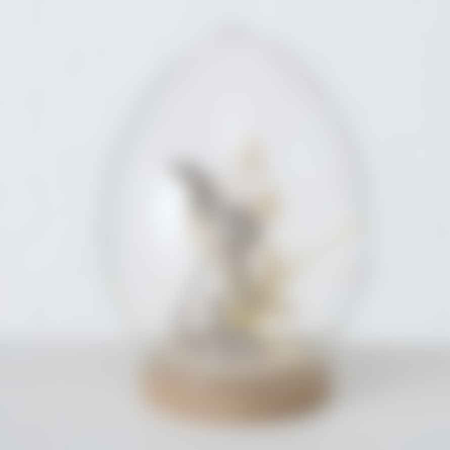 &Quirky Bunny In Glass Egg With Dried Flower 