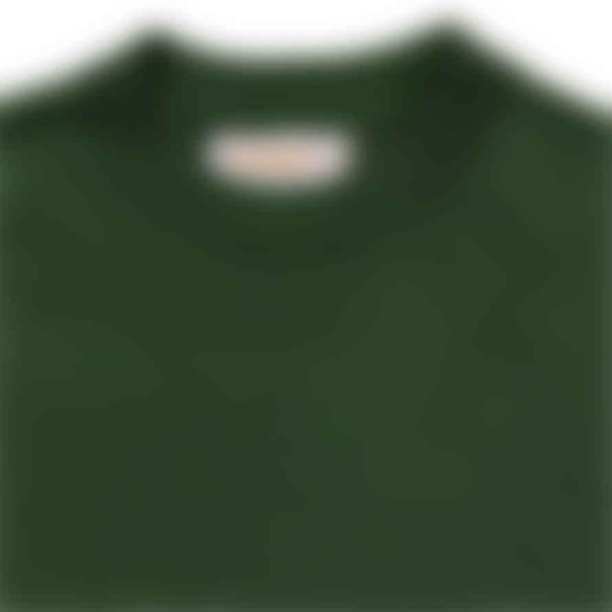 Fresh Extra Fine Crepe Cotton Green Sweater