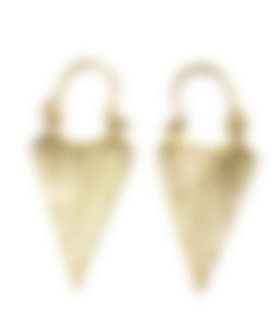 Urbiana Triangular Statement Earrings