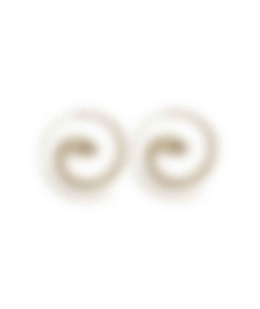 Urbiana Snake Swirl Earrings