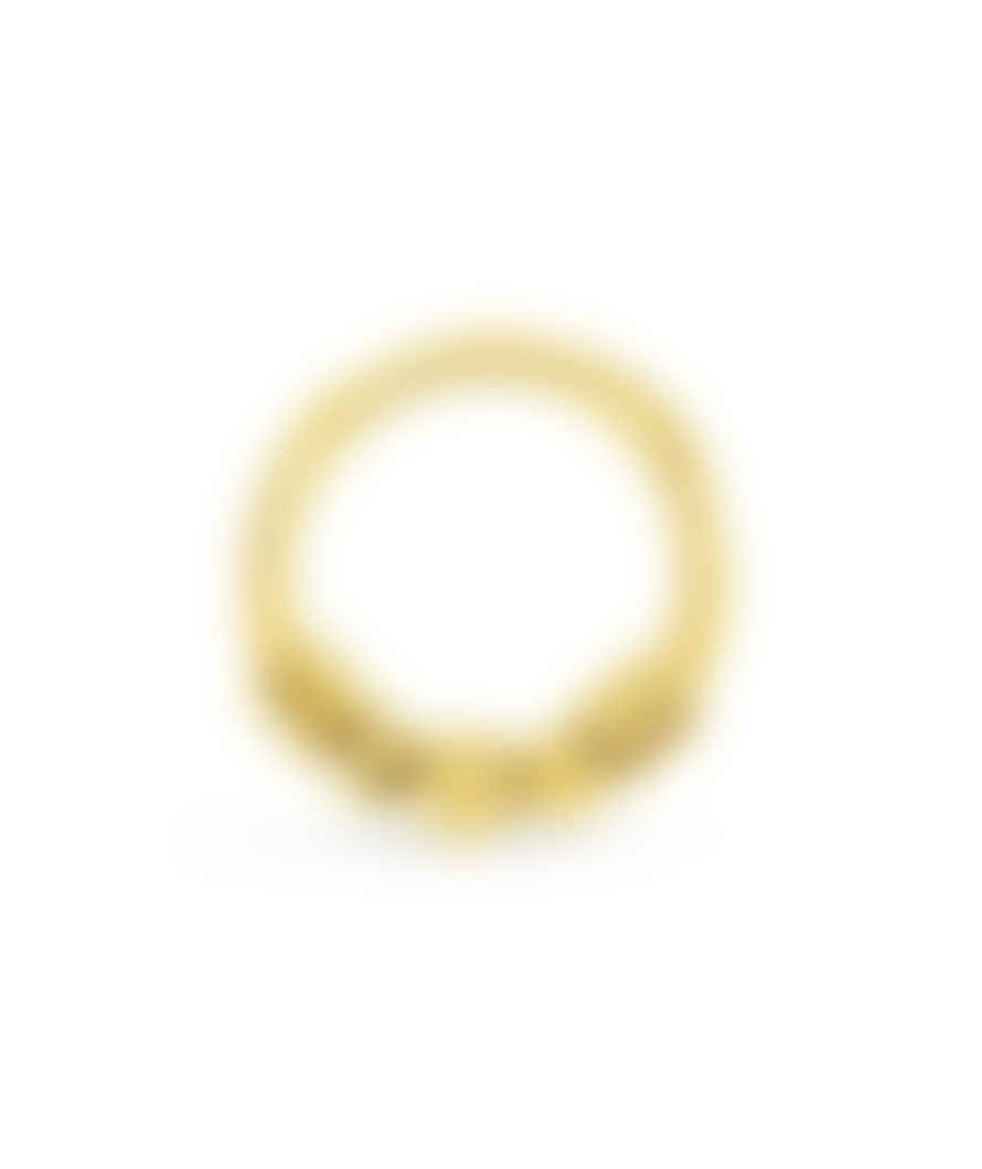 Urbiana Gold Hinged Septum Ring