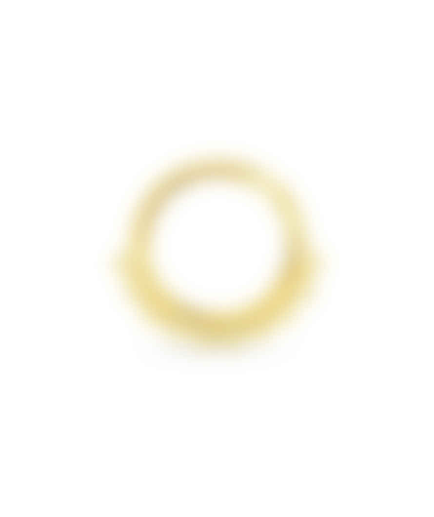 Urbiana Gold Hinged Septum Ring