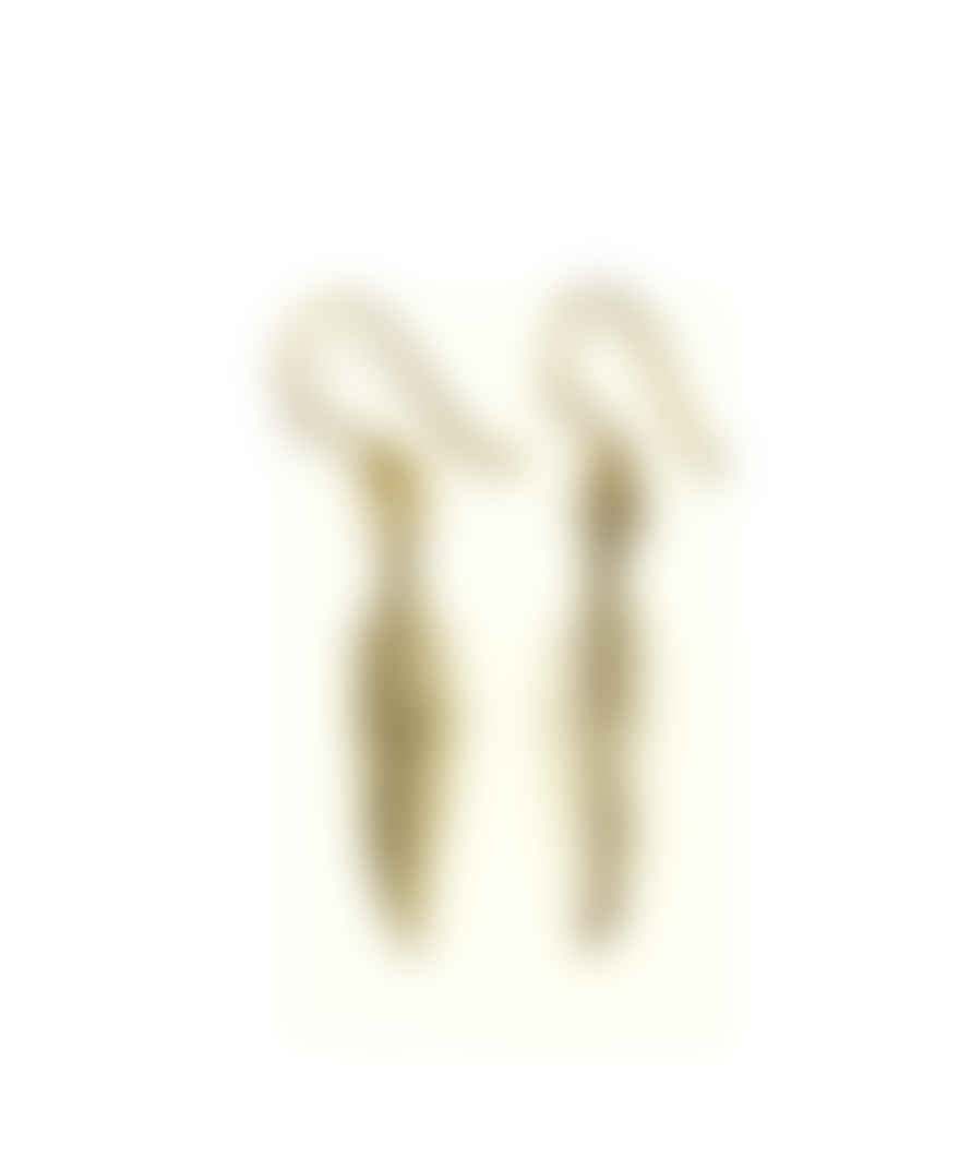 Urbiana Feather Earrings