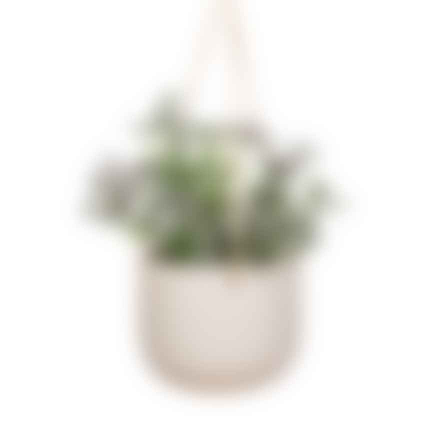 Sass & Belle  Off White Grooved Hanging Planter