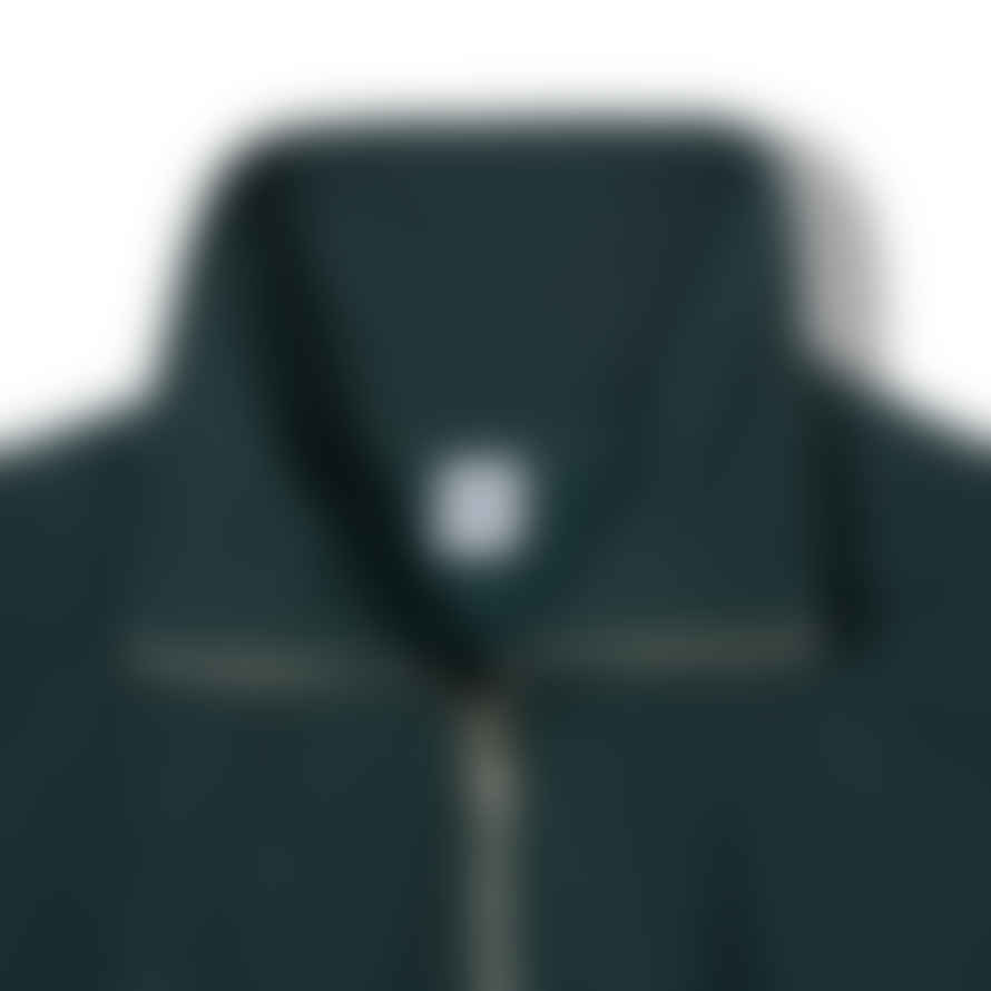 Partimento [MIDDLE TERRY] Pullover Zip-up Sweatshirt in Green