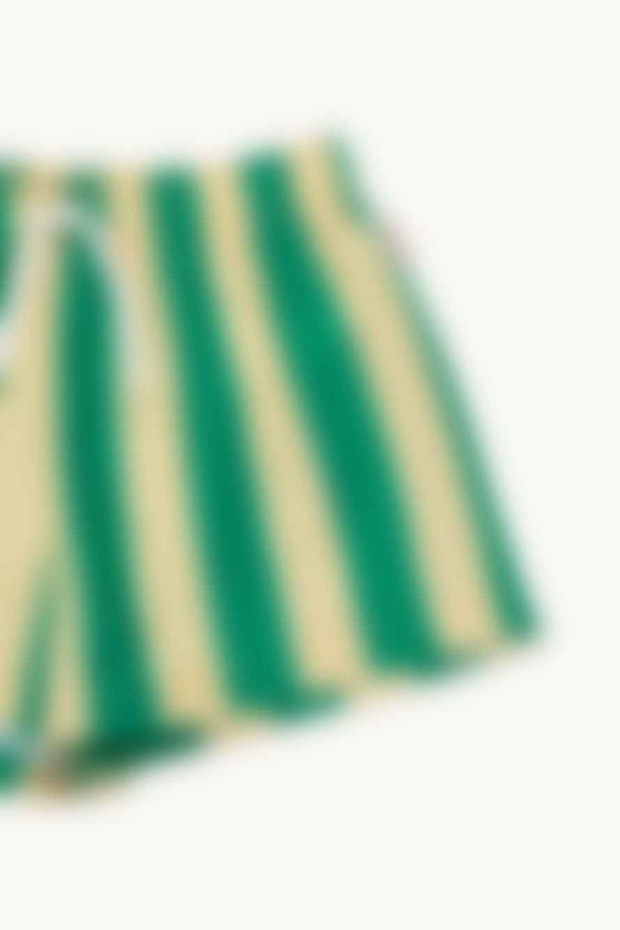 Tinycottons Verde Suave Y Amarillo Pantalón De Baño Big Stripes