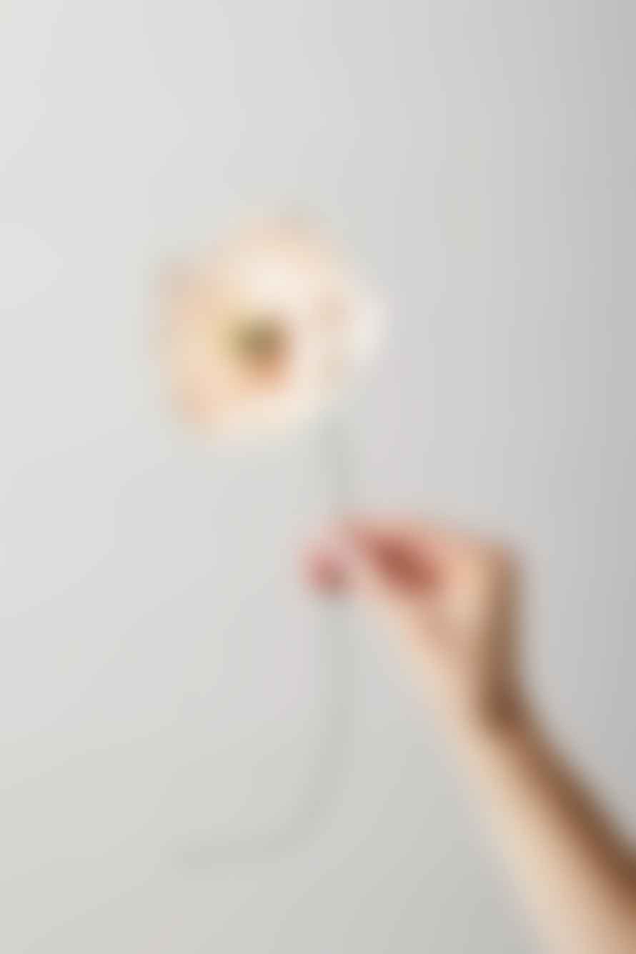 Studio About  Paper flower Poppy Nude 130430N