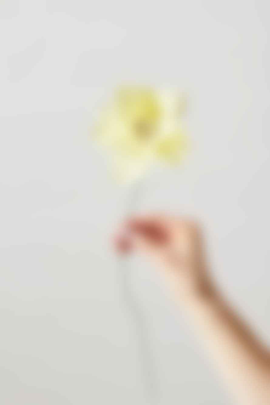 Studio About Paper Flower Dahlia Yellow 120430Y