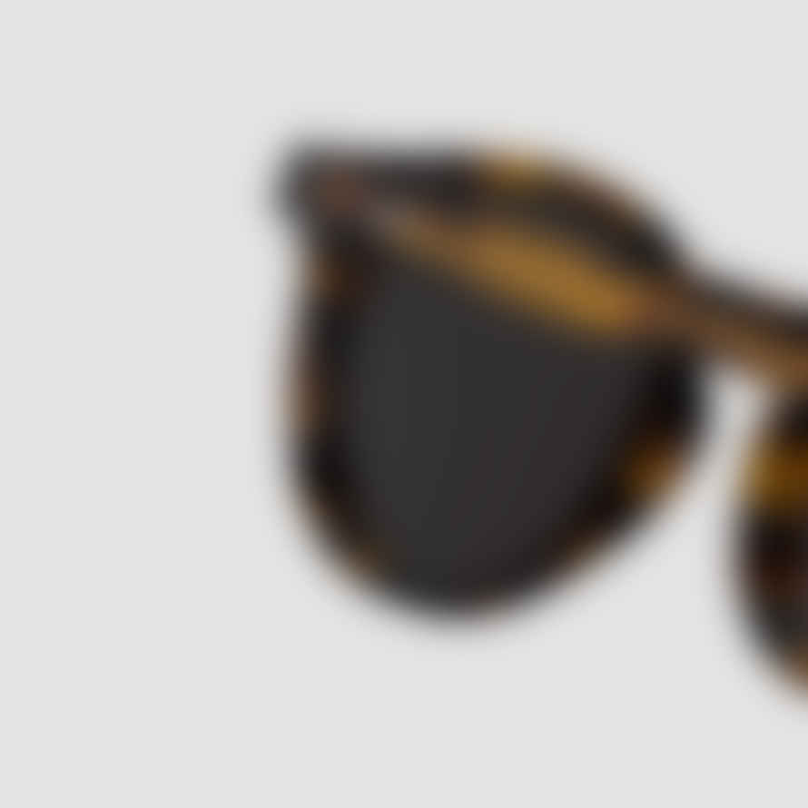 Monokel Eyewear Eyewear - Forest Havana Sunglasses - Grey Solid Lens