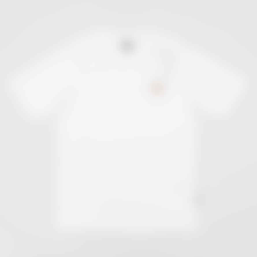 Dickies Mapleton Short Sleeve T-Shirt in White