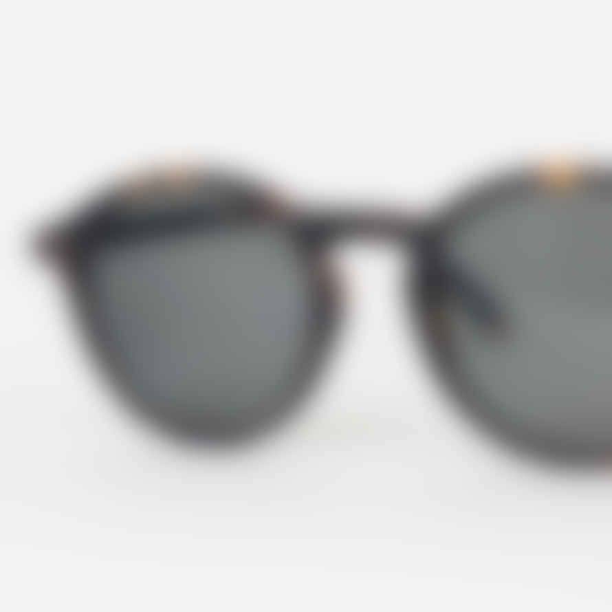 IZIPIZI #D The Iconic Round Style Sunglasses with Grey Lenses in Tortoise Brown