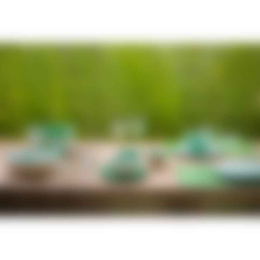 Pomax Set of 2 Treille platters, stoneware, - L 29,5 x W 17,2 x H 4 cm - green