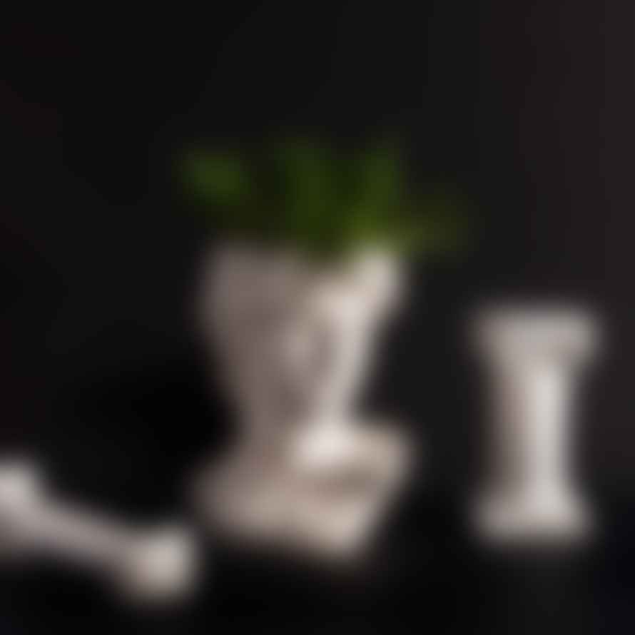 Sass & Belle  Large Greek Adonis Head Vase/Planter White