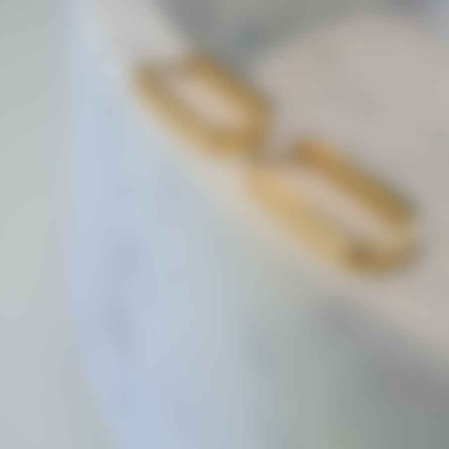 Golden Ivy Senna Gold Stainless Steel Earrings