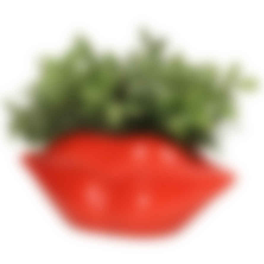 Kersten Red Lips Planter