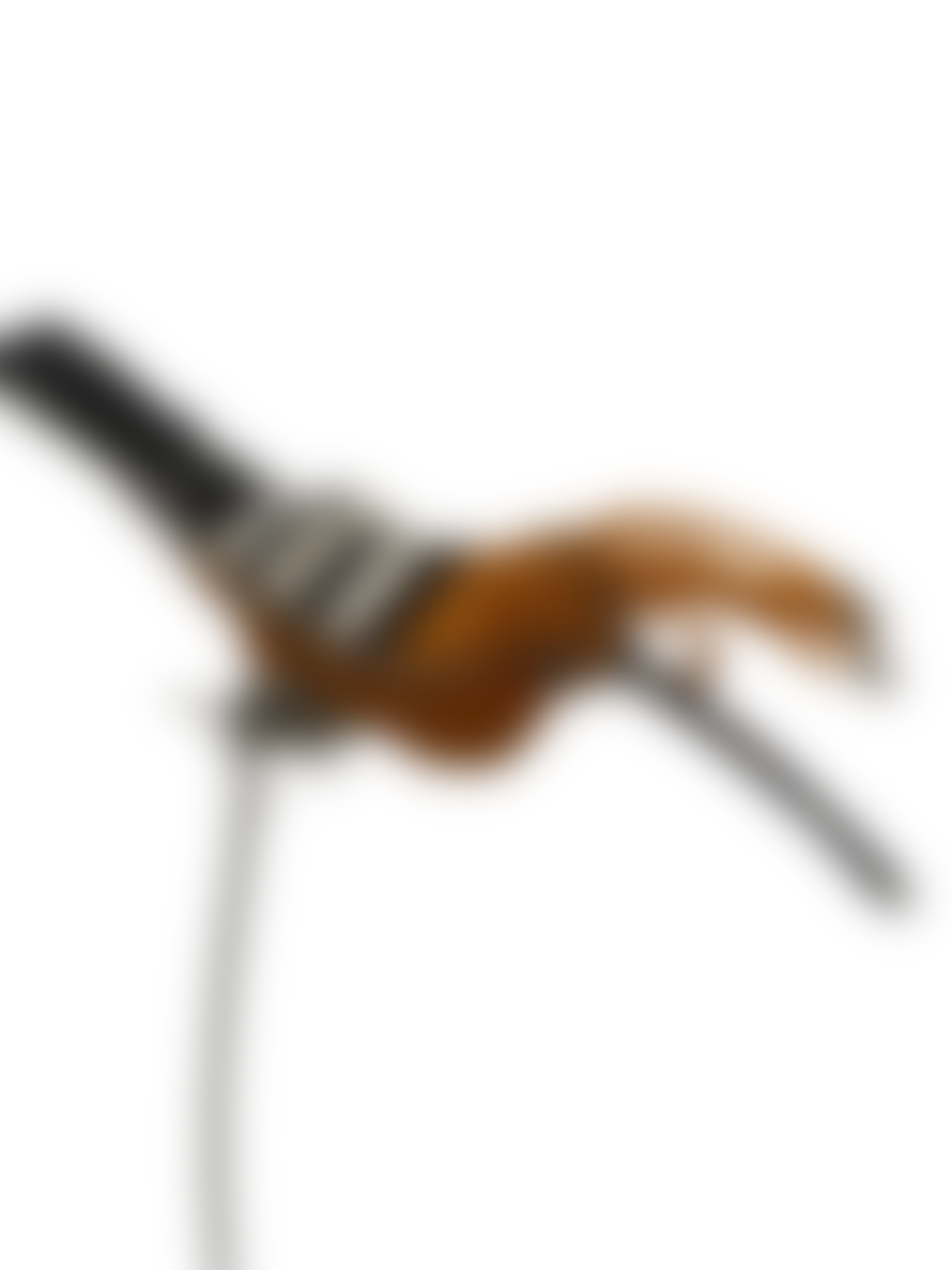 Botanical Boys Metal Garden Birds - Orange (17.5)