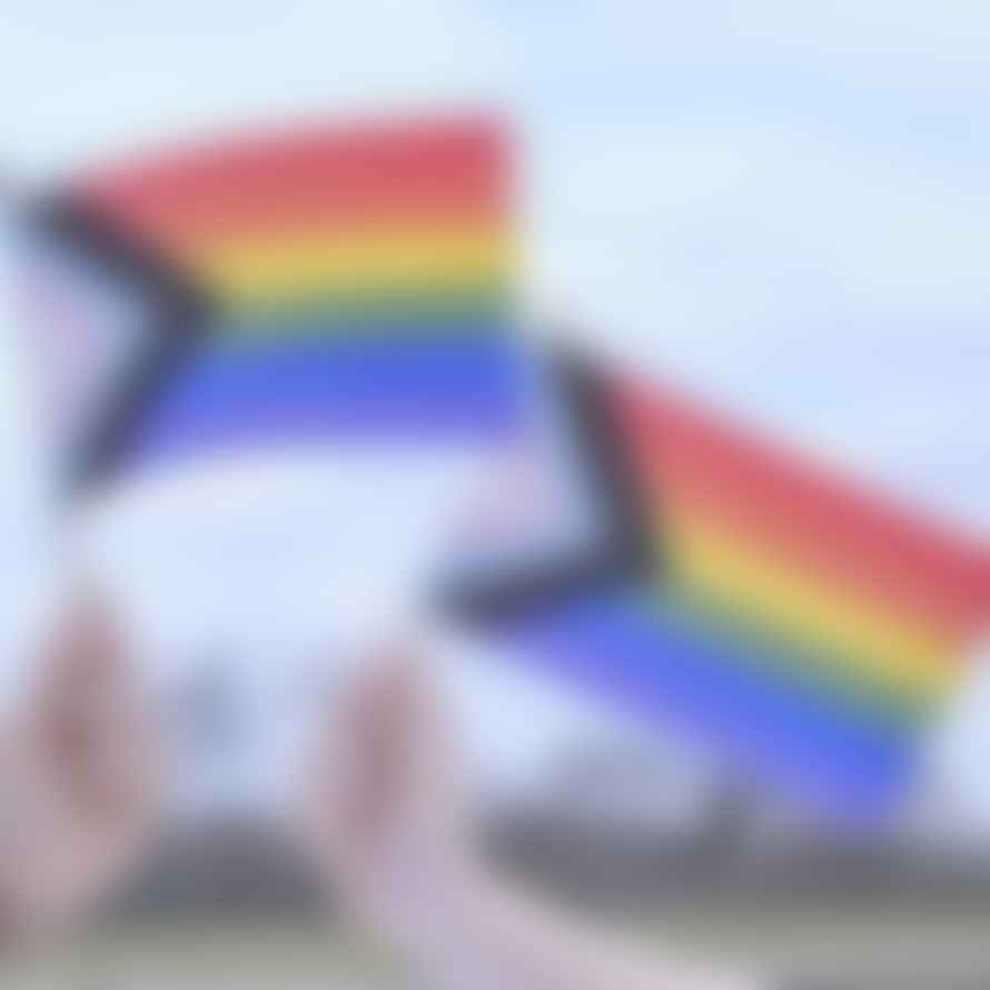 Ginger Ray Handheld Pride Progress Flag : Pack of 5