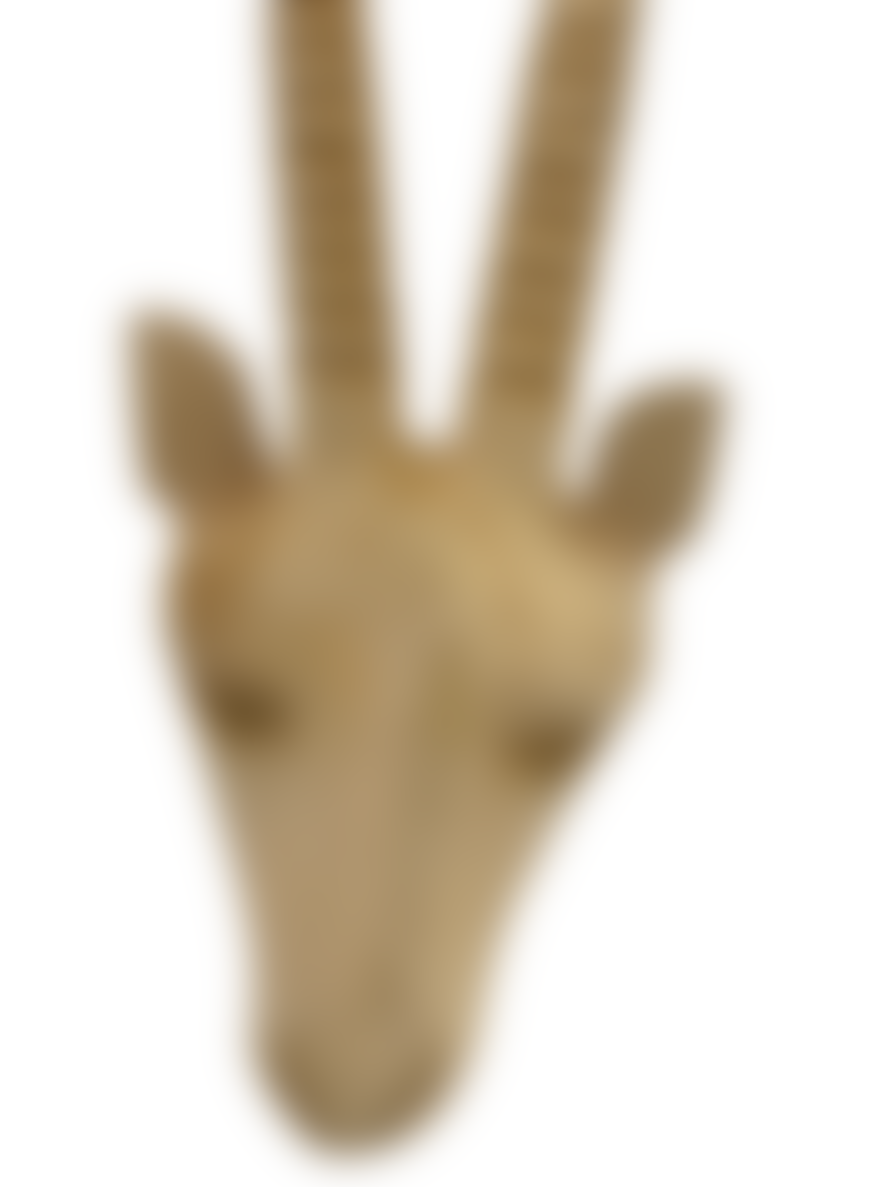 botanicalboysuk Swazi Hand Carved Buck Head Gemsbok - (42) Small