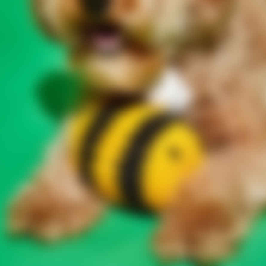 Ware of the Dog Bumble Bee Dog Toy