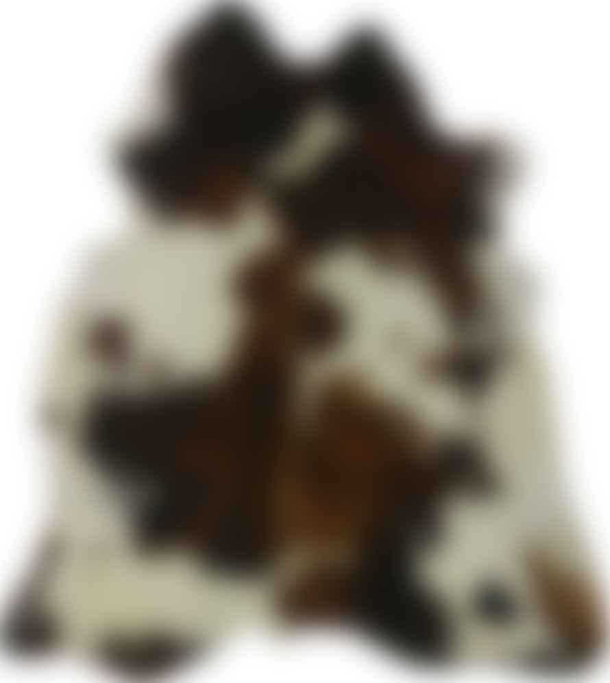 Joca Home Concept 200 x 280cm Brown/Black & White Cow Hide