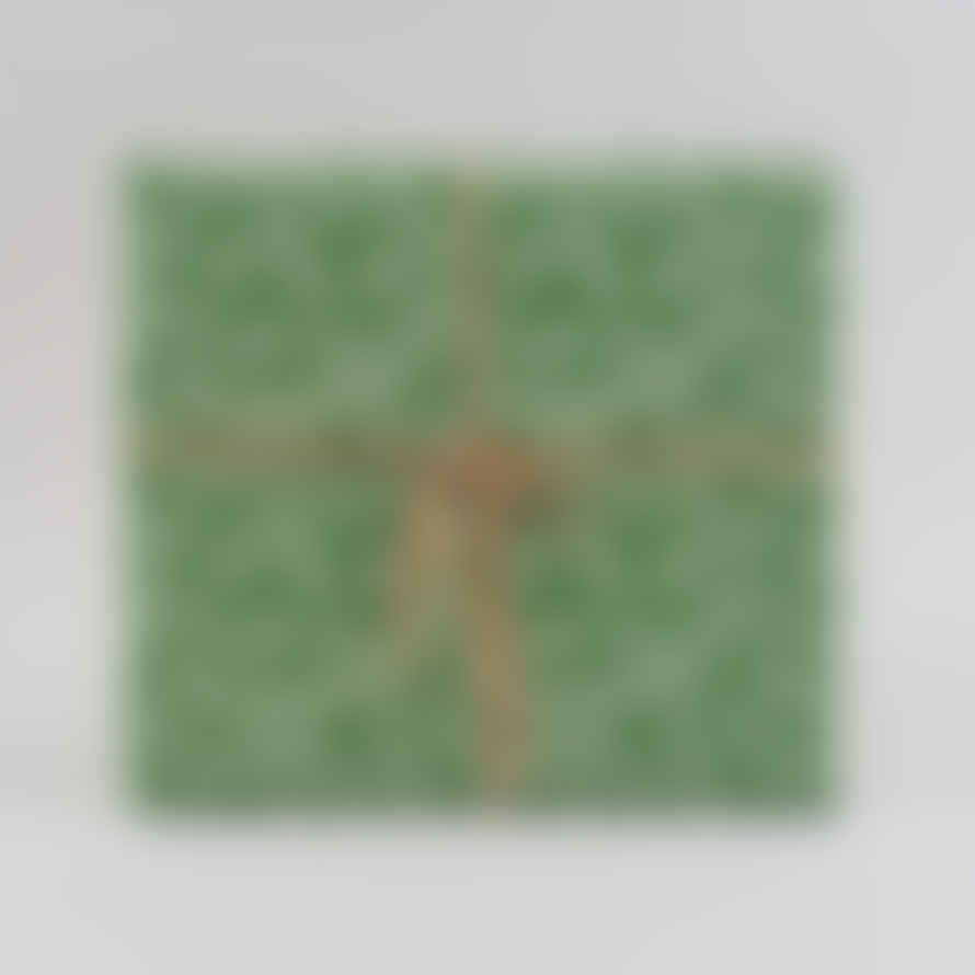 Cambridge Imprint Gift Wrap - Sprig Pea Green - 10 Sheets