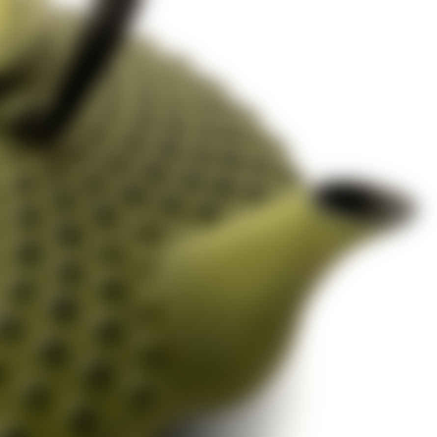 Bredemeijer Bredemeijer Teapot Xilin Design Cast Iron 1.25l In Green