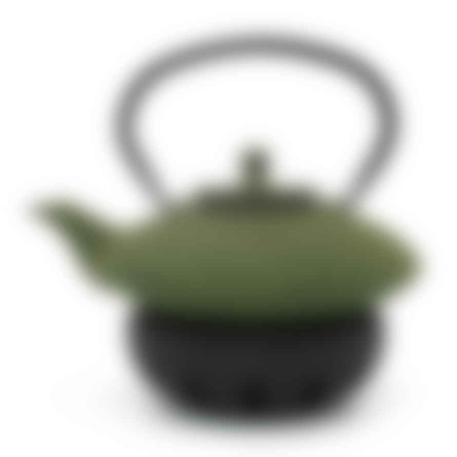 Bredemeijer Bredemeijer Teapot Xilin Design Cast Iron 0.8l In Green