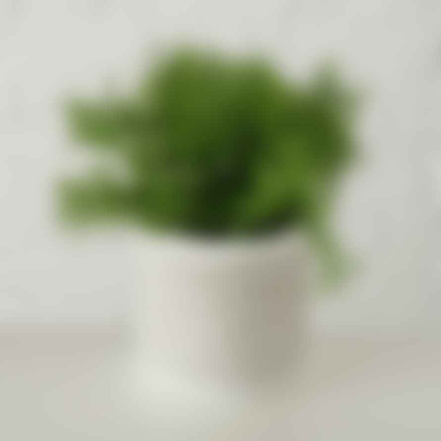 &Quirky Faux Potted Plant : Eucalyptus, Dill or Basil