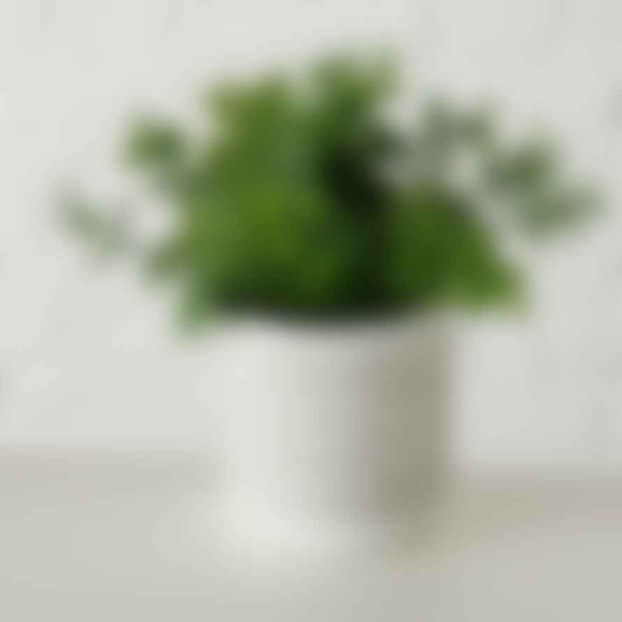 &Quirky Faux Potted Plant : Eucalyptus, Dill or Basil