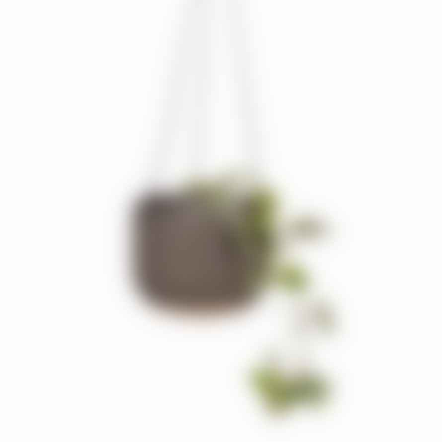 Sass & Belle  Grooved Stoneware Hanging Planter