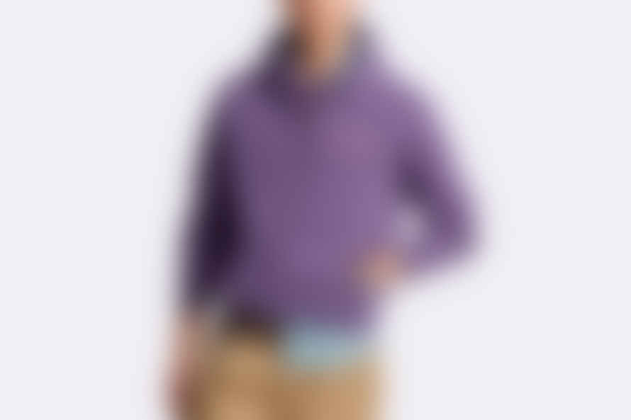 Polo Ralph Lauren Sports Fleece Hoodie Purple