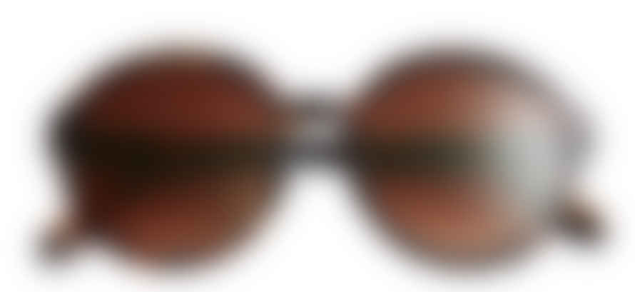 Have A Look Sunglasses - Diva Tortoise