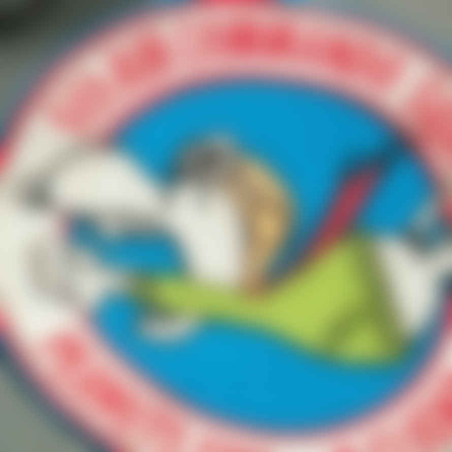 Buzz Rickson's Peanuts Snoopy L-2b Flight Jacket Br15051 - Sage Green