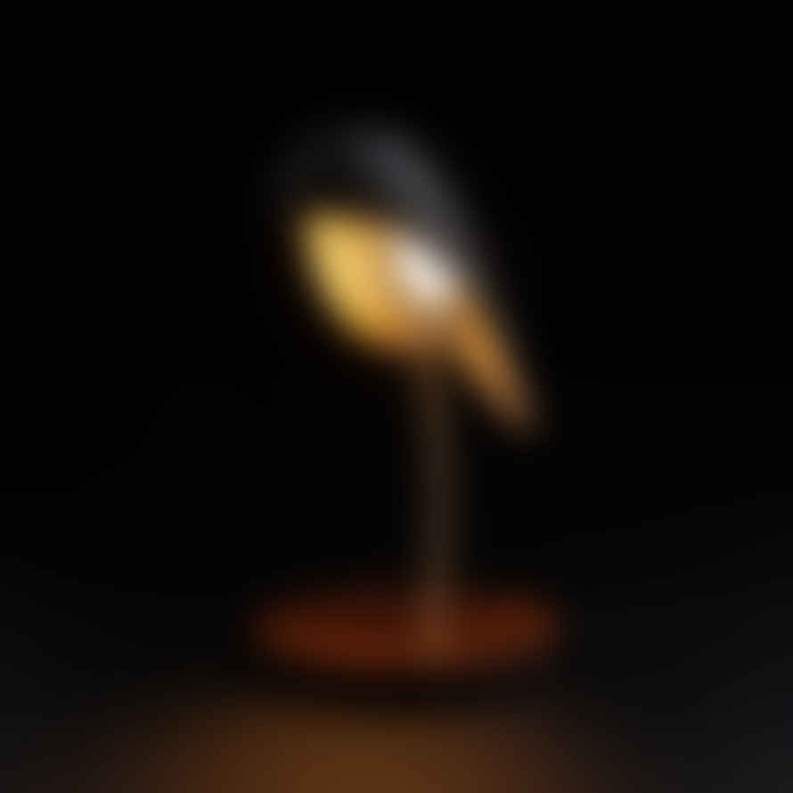 Daqi concept Bird Lamp Onyx Black