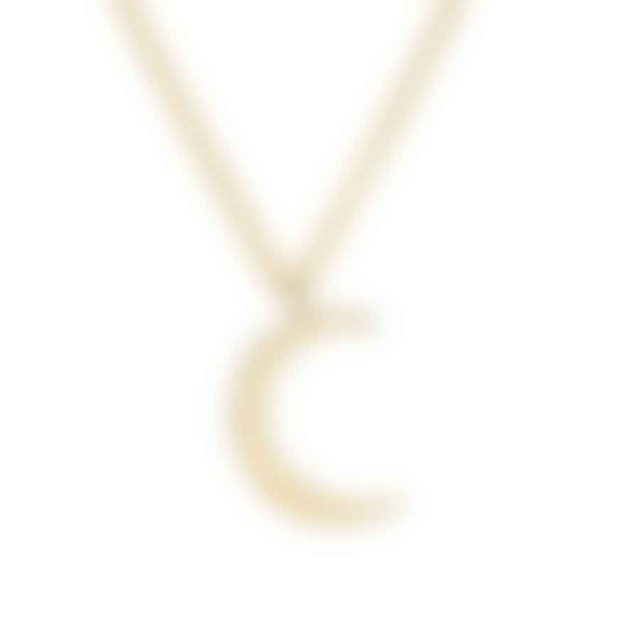 Posh Totty Designs Crescent Moon Necklace 