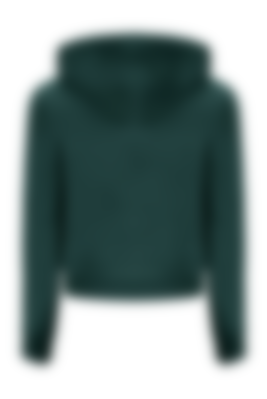 Juicy Couture Robertson Classic Velour Hoodie - Rain Forest