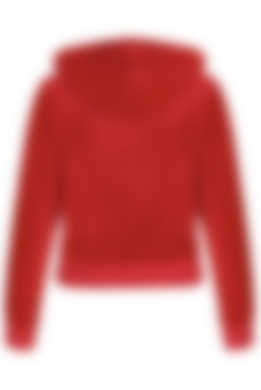 Juicy Couture Robertson Classic Velour Hoodie - Astor Red