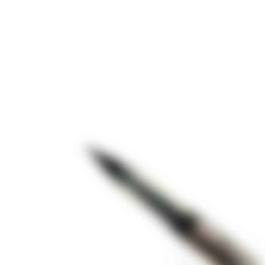 Kuretake Fude Brush Pen - Fudegokochi Ls4-10- Regular