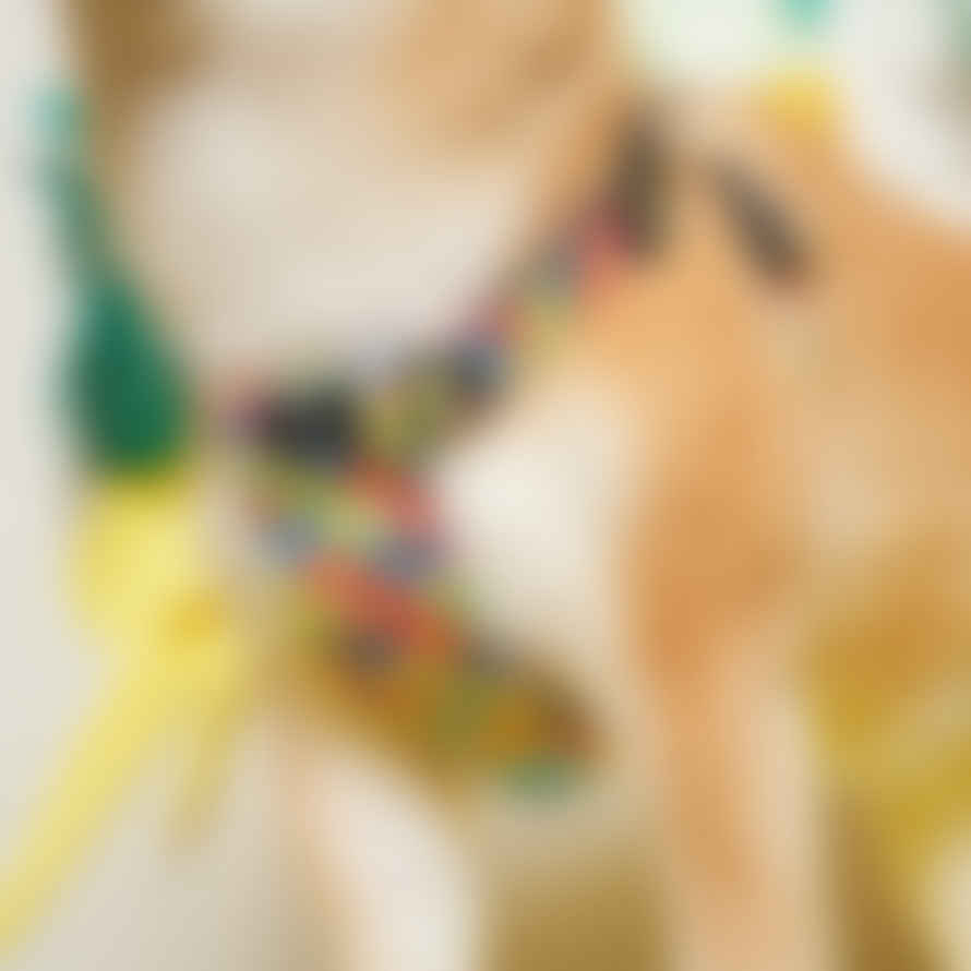 Hiro + Wolf Medium and Large Over the Rainbow Dog Harness