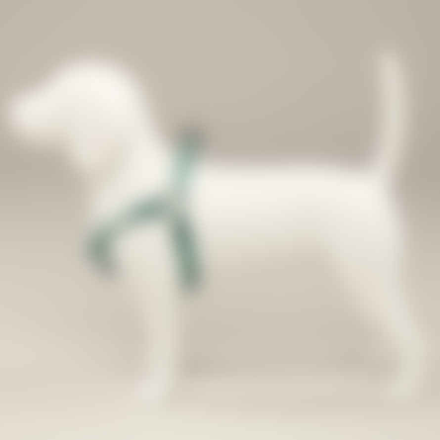 Eddgy Small 100 Percent Recycled Maximus Dog Harness