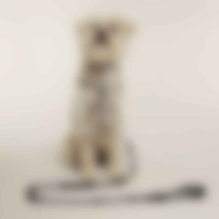 Eddgy Small 100 Percent Recycled Bad Dog Club Dog Harness
