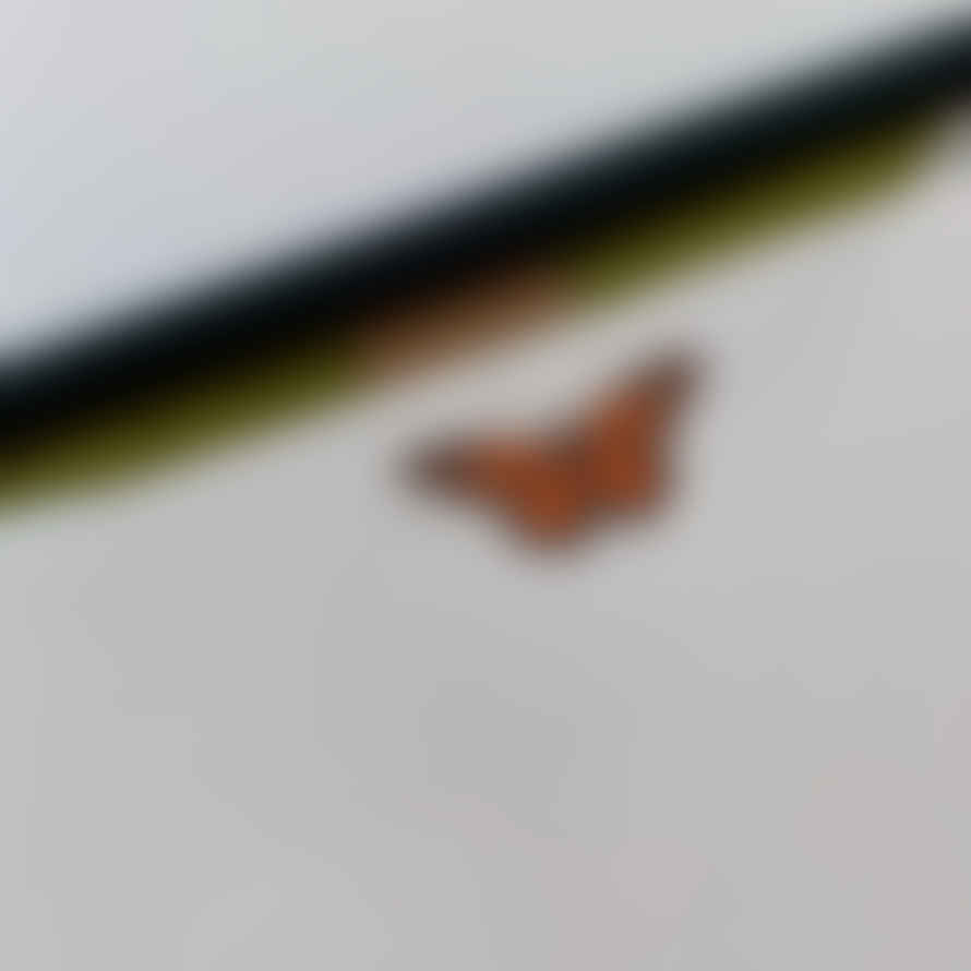 Meticulous Ink Letterpress Monarch Butterfly Letterheads