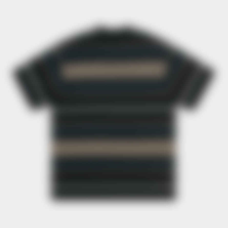 Carhartt T-shirt Tuscon Stripe / Frasier