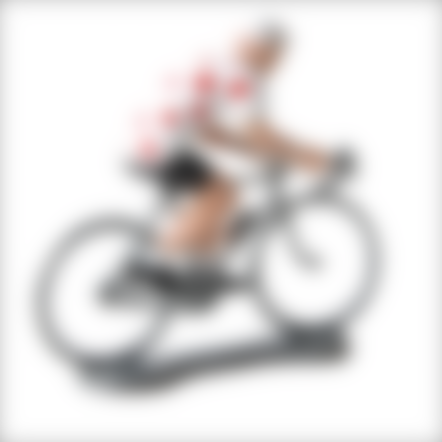 bernard + eddy Miniature Cyclist Tour De France